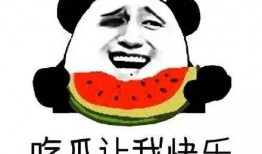 朝阳吃瓜群众一枚的微博